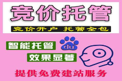百度竞价代理优化策略：案例分享与借鉴